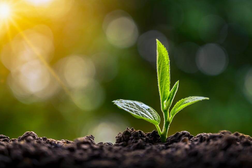 water-soluble fertilizer synergist