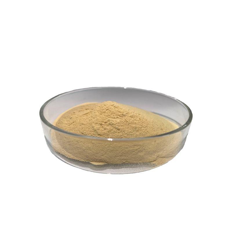 gypsum retarder