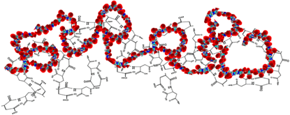 Spatial Structure of Polyaspartic Acid