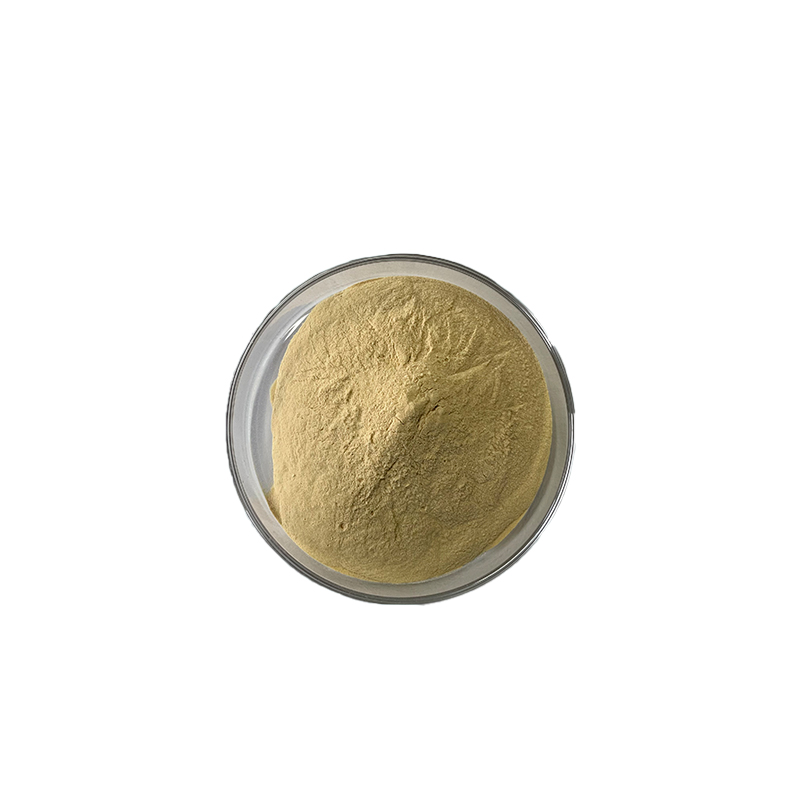 gypsum retaeders