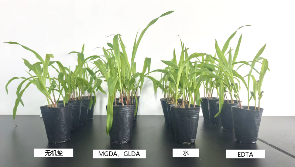 YuanlianChemical'GLDA adn MGDA