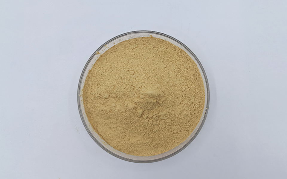amino acid gypsum retarder